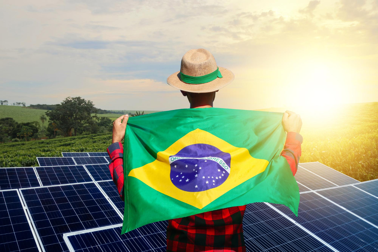 Renewable Energy in Brazil: A Booming Market for Investment
