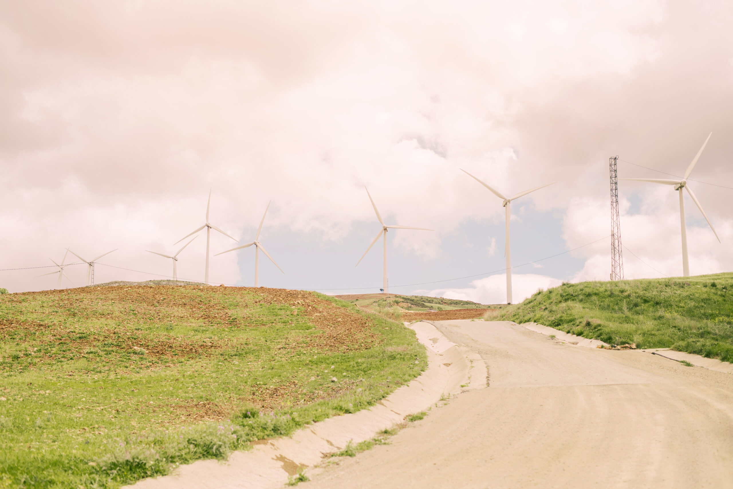 Incentivos Fiscales en Energías Renovables en Italia y Portugal