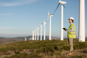 Incentivos Fiscales en Energías Renovables en Italia y Portugal